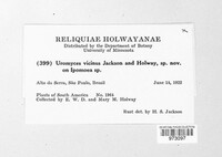 Uromyces vicinus image